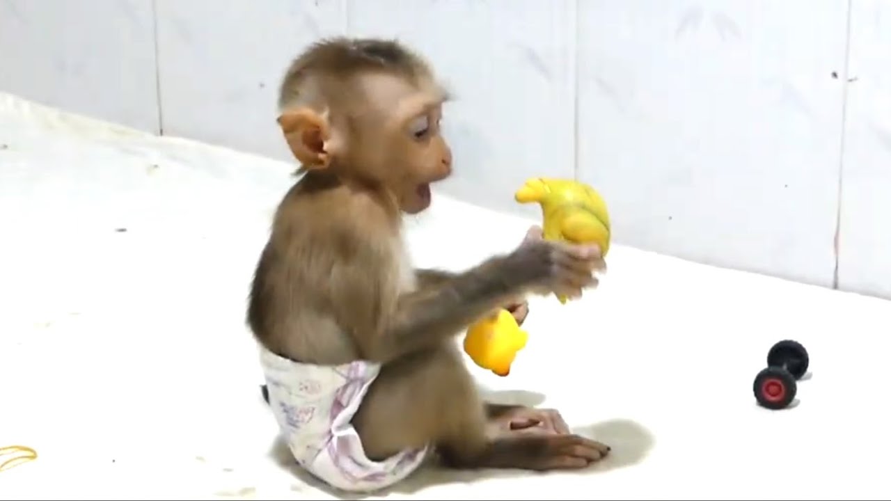 So Happy !! The Adorable Baby LIORA Play A Lot Of Toys With Her Sister And Brother