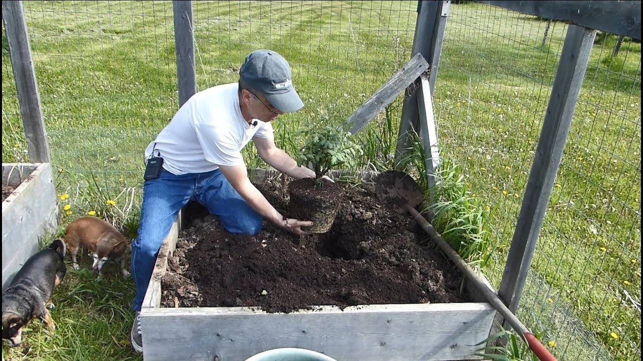 Container and Raised bed Planting