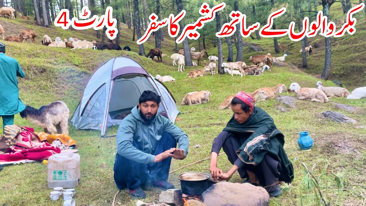 Bakrwals Traveling in Kashmir | PART 4 | Nomads Life