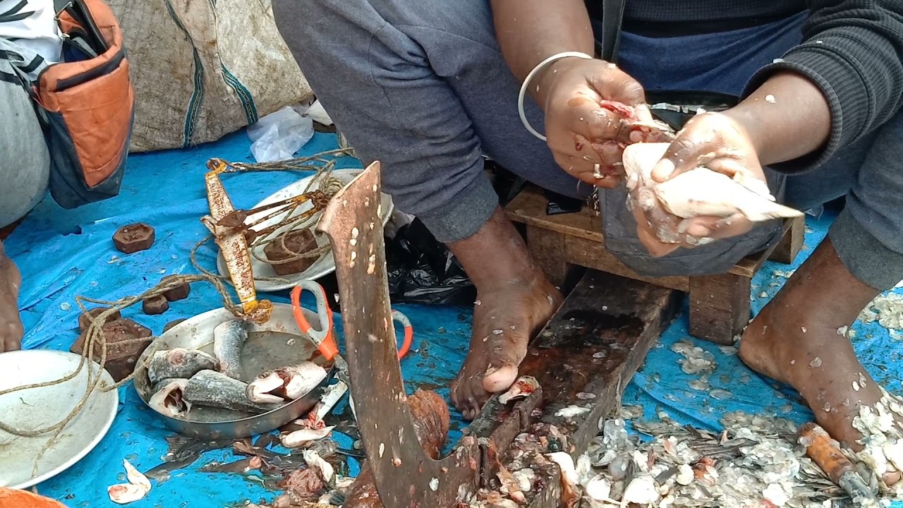 Fish cutting | Chara pona | How to cut fish | easy way to cut fish
