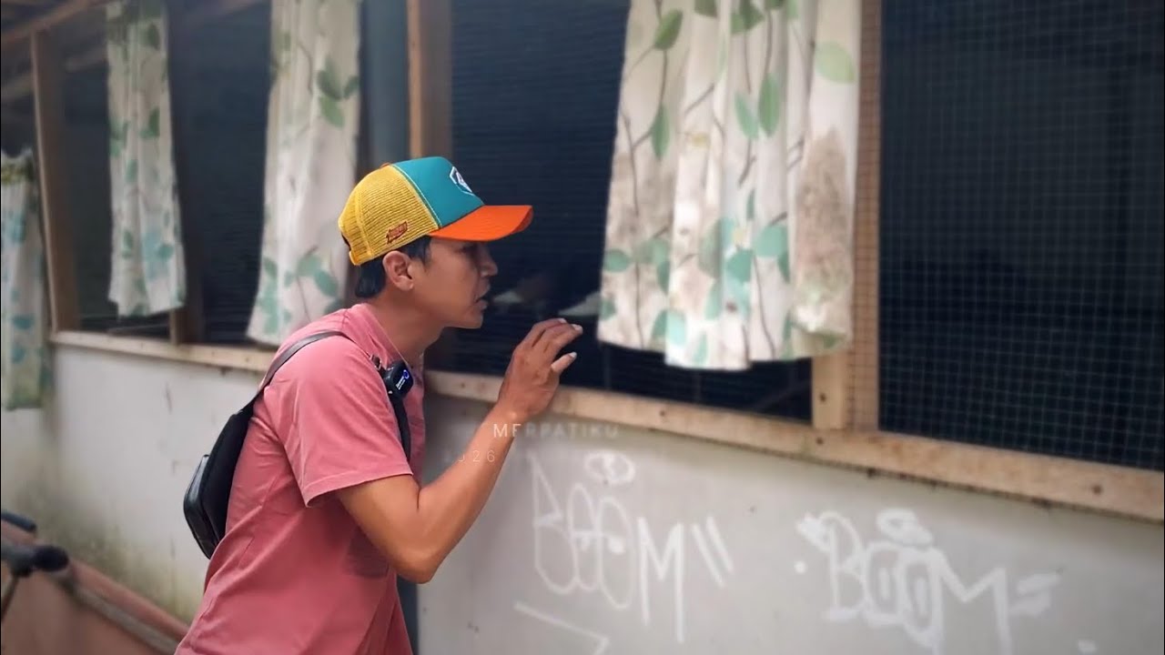 INT!P KANDANG MERPATI SIAPA SI ?