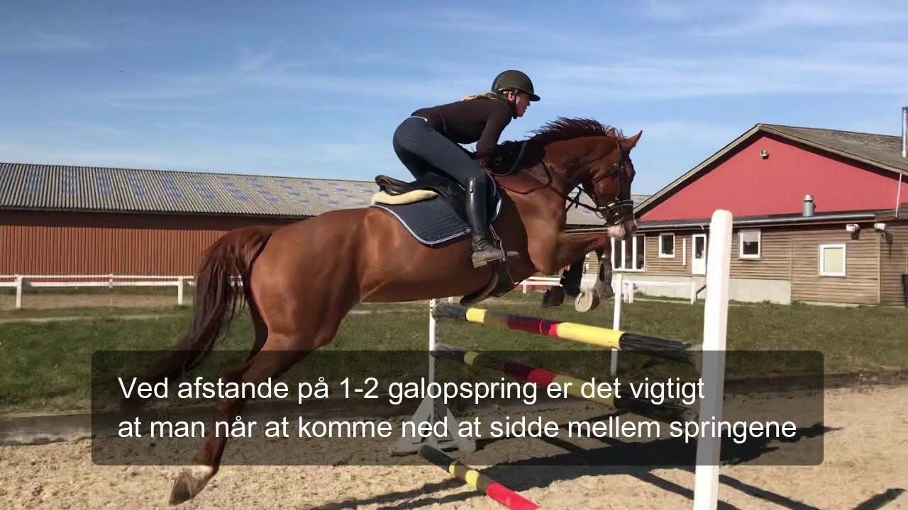Springning