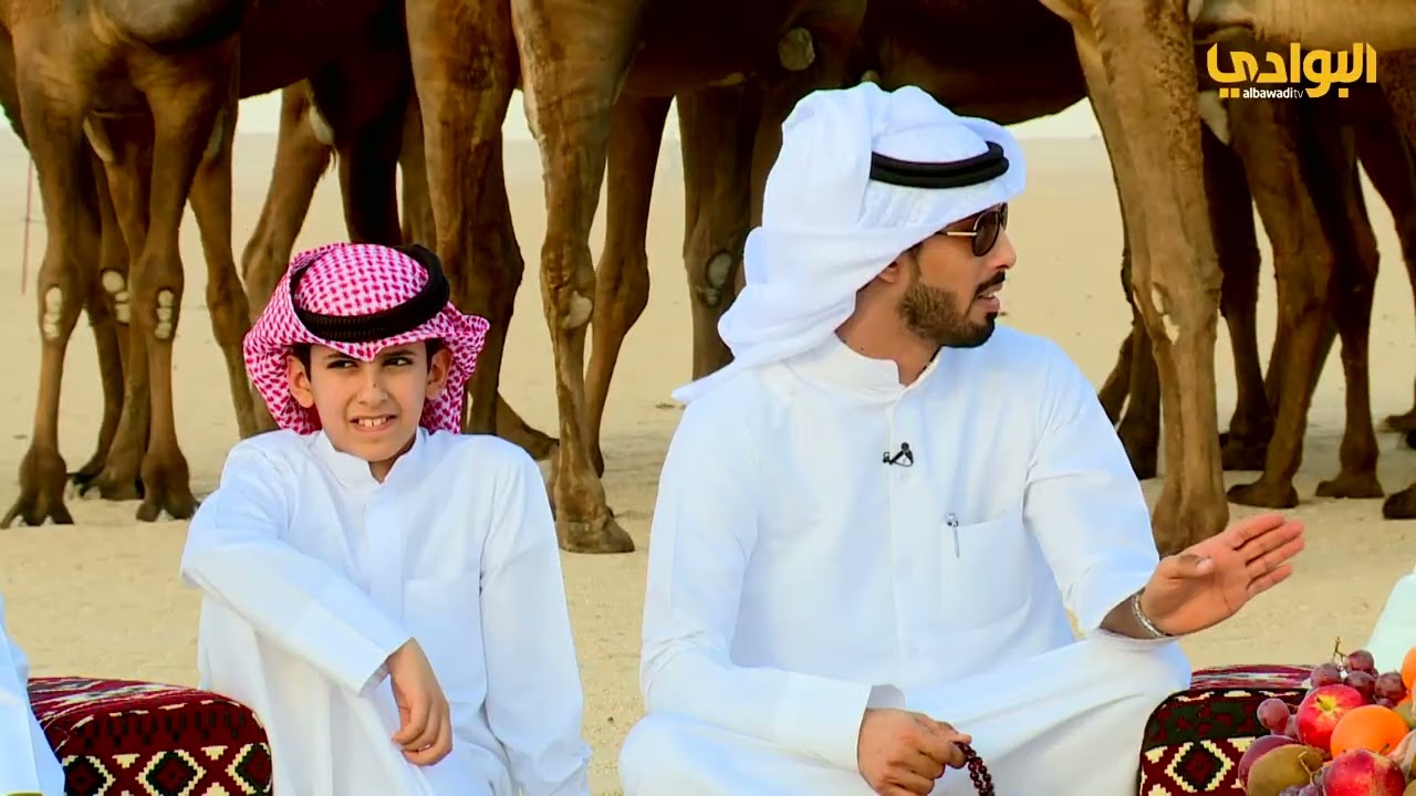 منقية | راجح المخيال | #الابل وأهلها