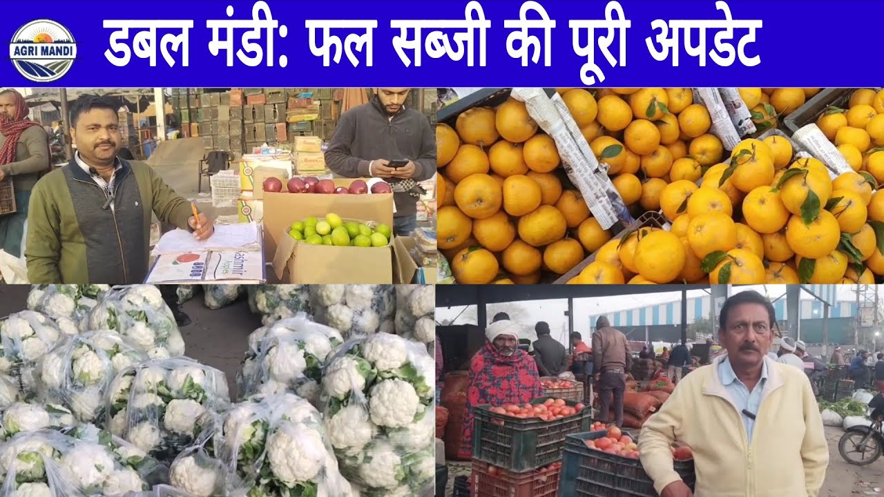 26/02/26 फल सब्जी भाव करनाल मंडी वीरवार थोक दाम #फल #सब्जी #थोकभाव  #farmer