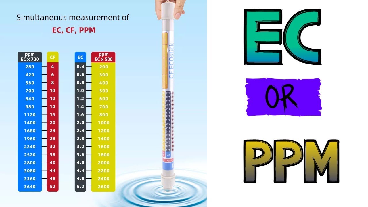 EC против PPM! Что лучше?