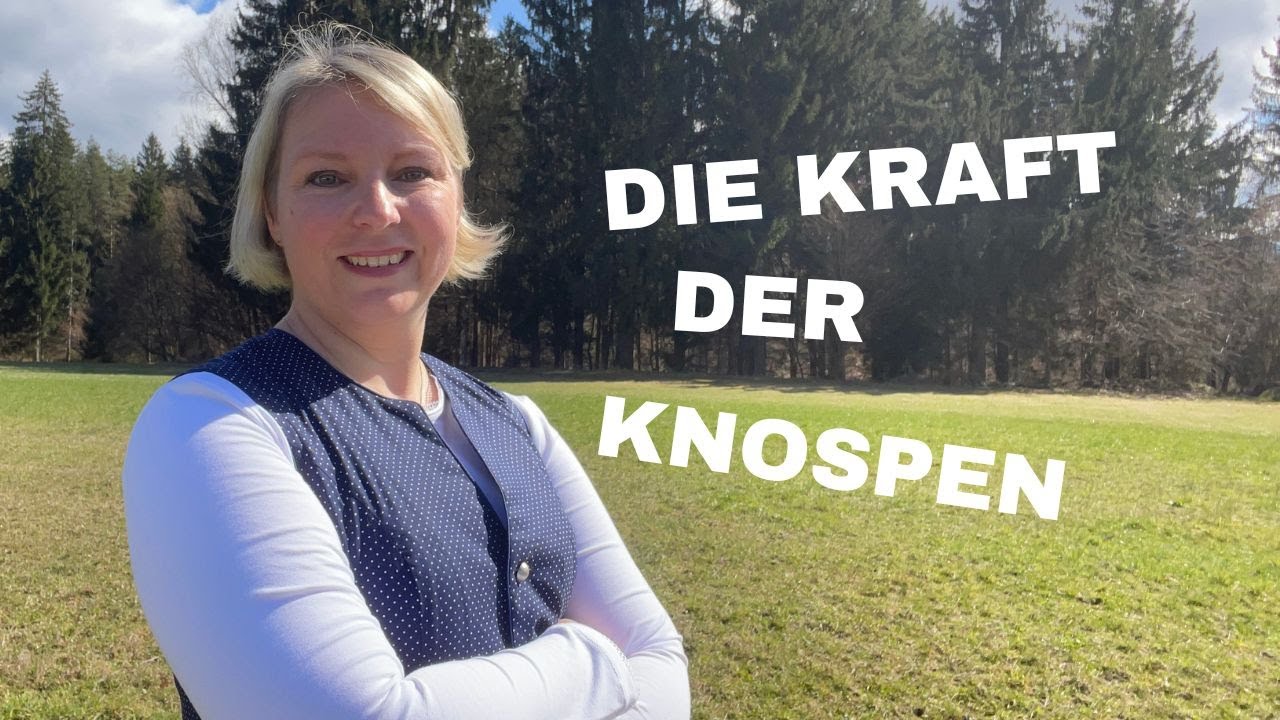 Gemmotherapie & die Schwarze Ribisel &ndash; die Kraft der Knospen entdecken!