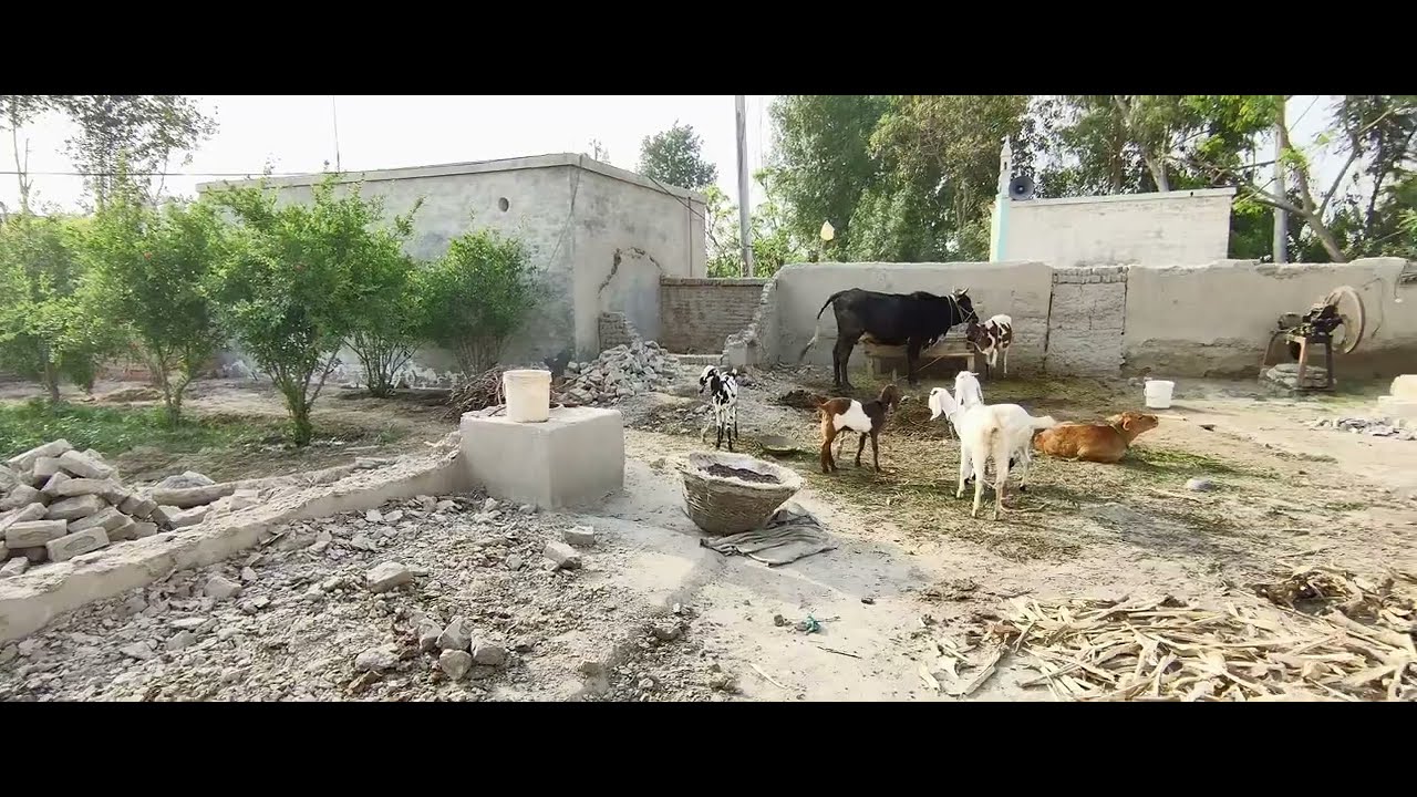 #Stsmalik#newVeLLaMunDa #chotapeer🥰