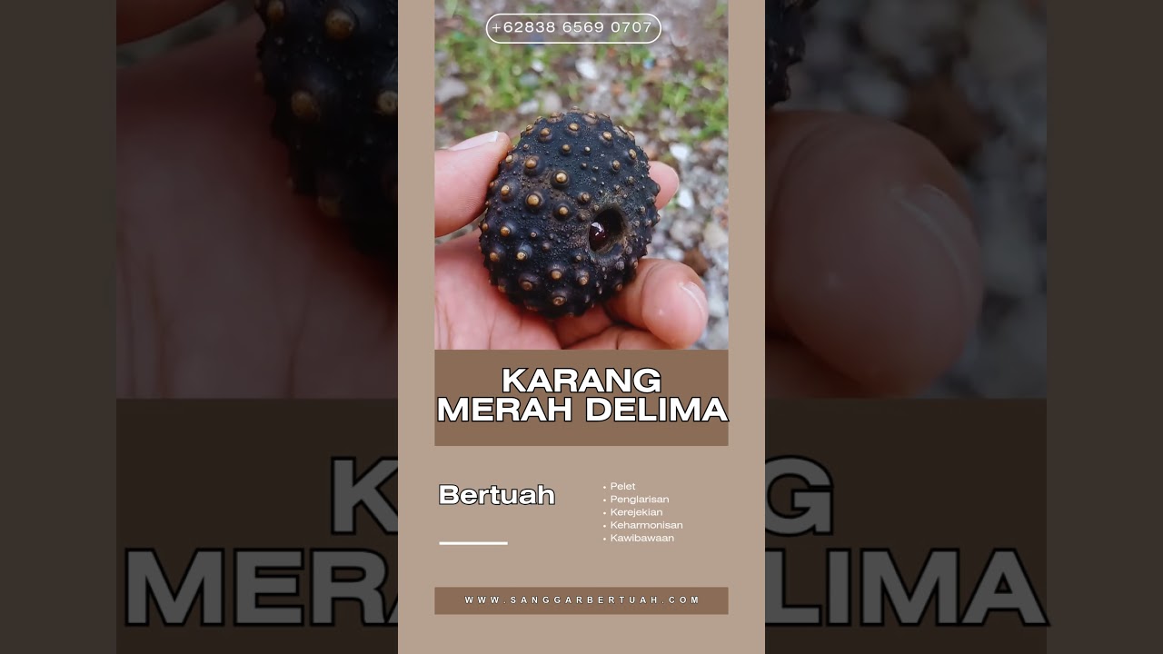 Mustika Merah Delima Batu Karang Asli  