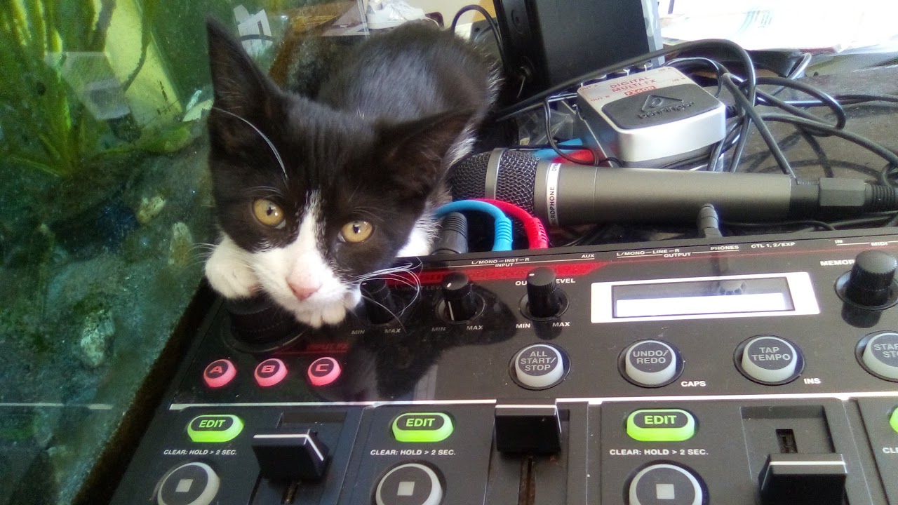 TIME MACHINE RAVE RESIDENT DJ ZEEZEE MONDAY MADNEZZ