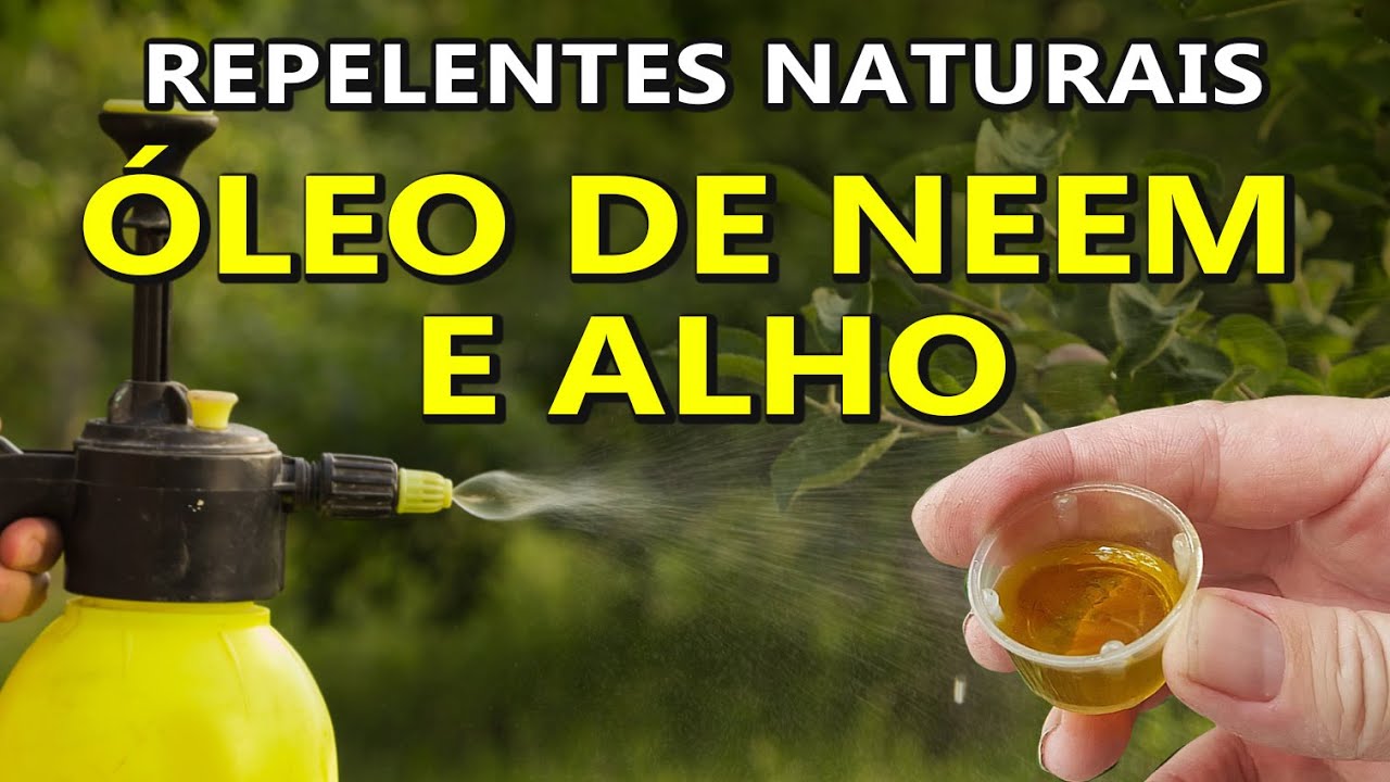 Repelentes Naturais   Óleo de Neem e Alho, como funciona e como usar