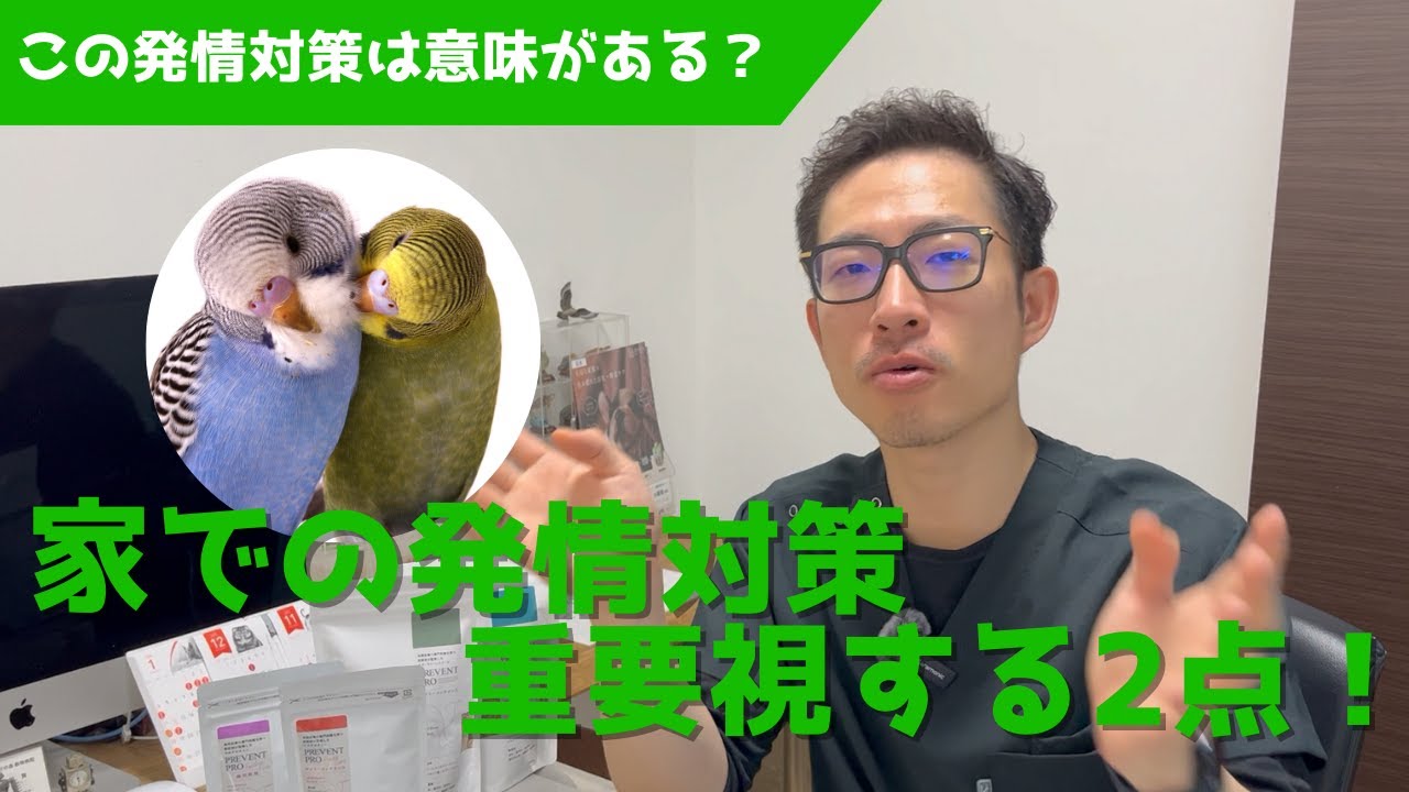 【質問コーナー】この発情対策に意味はありますか？そのう検査で喉に傷がつくことはある？エアコンを使わないおすすめの保温は？ネクトンとPREVENT PRO マルチビタミンの違いは？などにお答えしました！