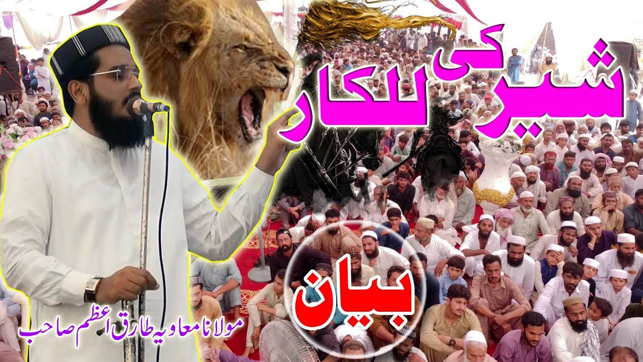 Molana Moavia Azam Tariq sb || Beautiful 2025 Bayan || Most Viral Speech || شیر کی للکار 