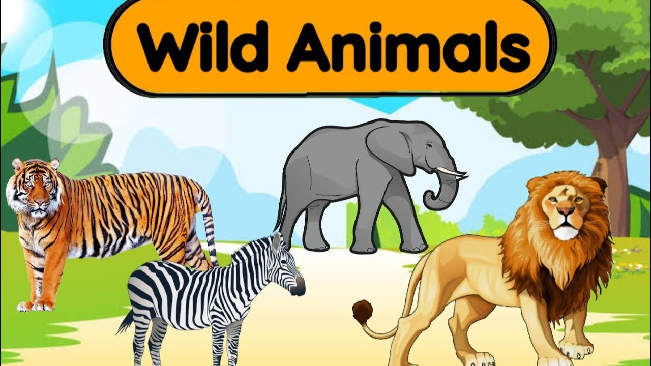 Wild Animals for kids | Domestic Animals | Animals around us | wild & pet animals | Animals for kids