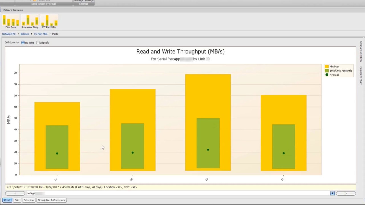 Netapp Balance Report Views