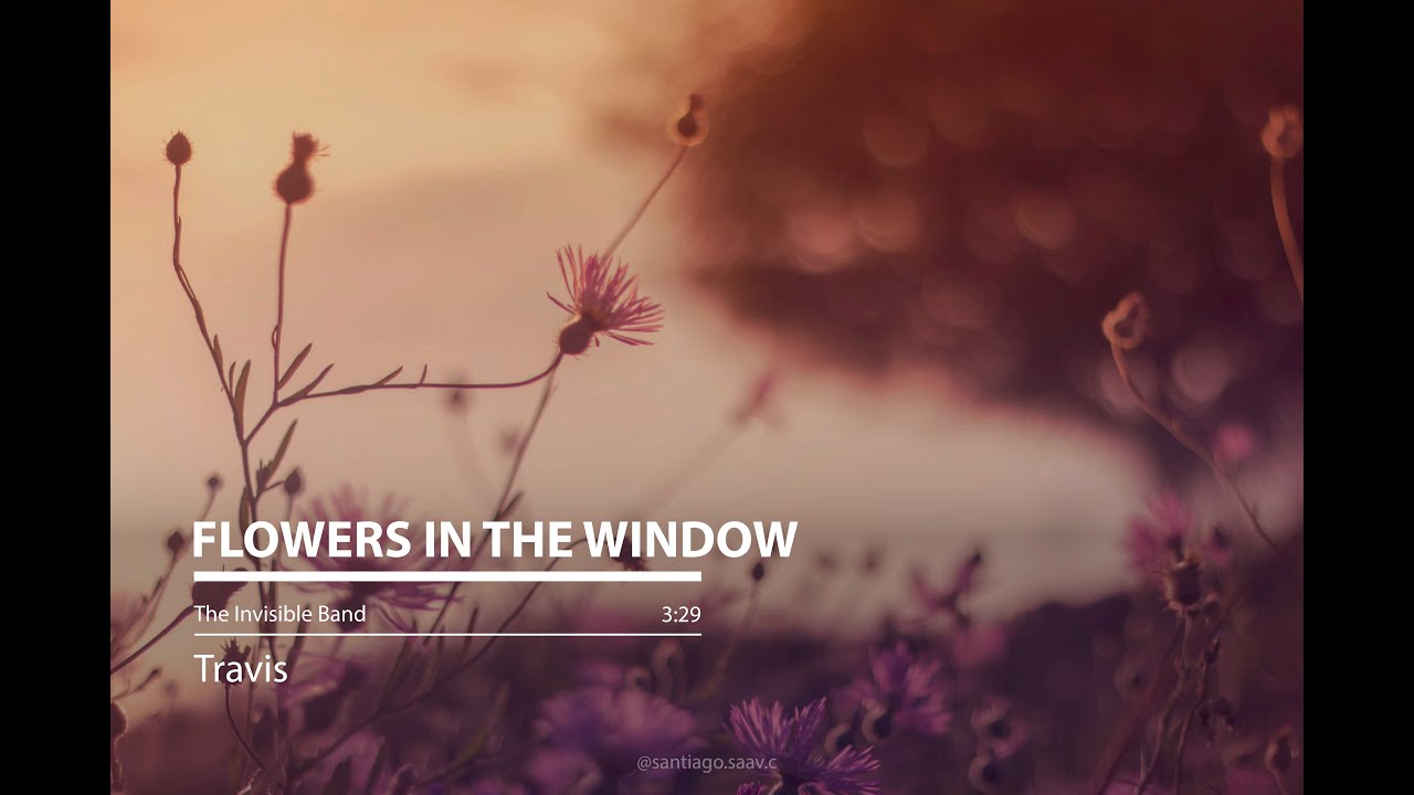 Flowers in the Window  [Travis - Lyrics]