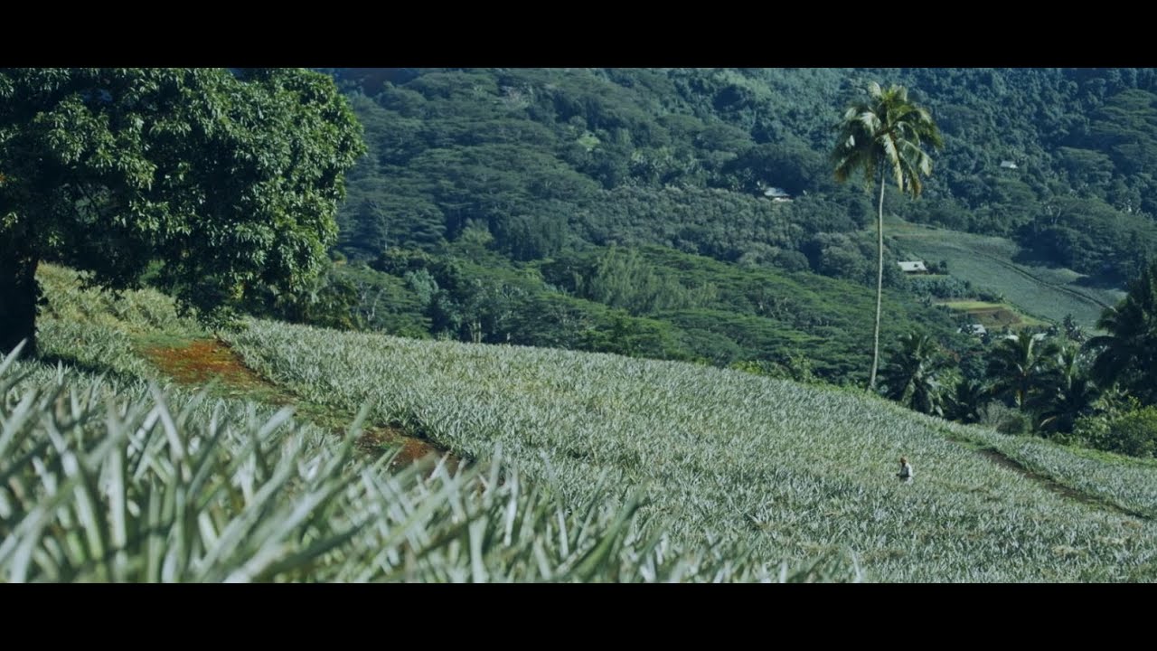 Fa'ahotu 2: L'ananas