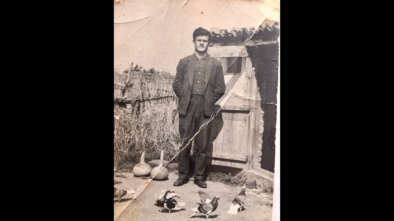 AT&Ccedil;ALI MEHMET DESTANI d&ouml;nek g&uuml;vercin dunek pigeons roller bursa muradiye