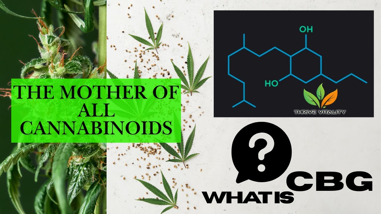 What is CBG? The Mother of All Cannabinoids | CBG Explained Simply
