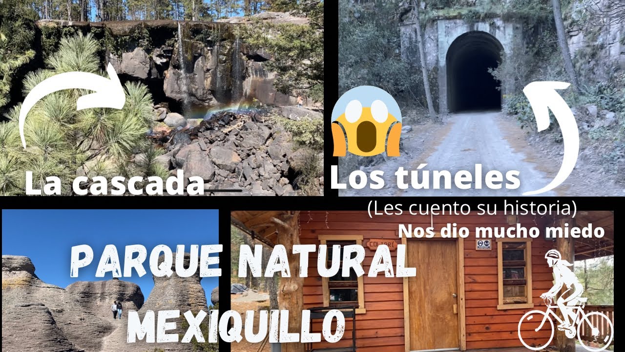 Tour parque natural mexiquillo. 🌲🚵🏻‍♀️ lo recorrimos en bicicleta. mexiquillo durango parte 2