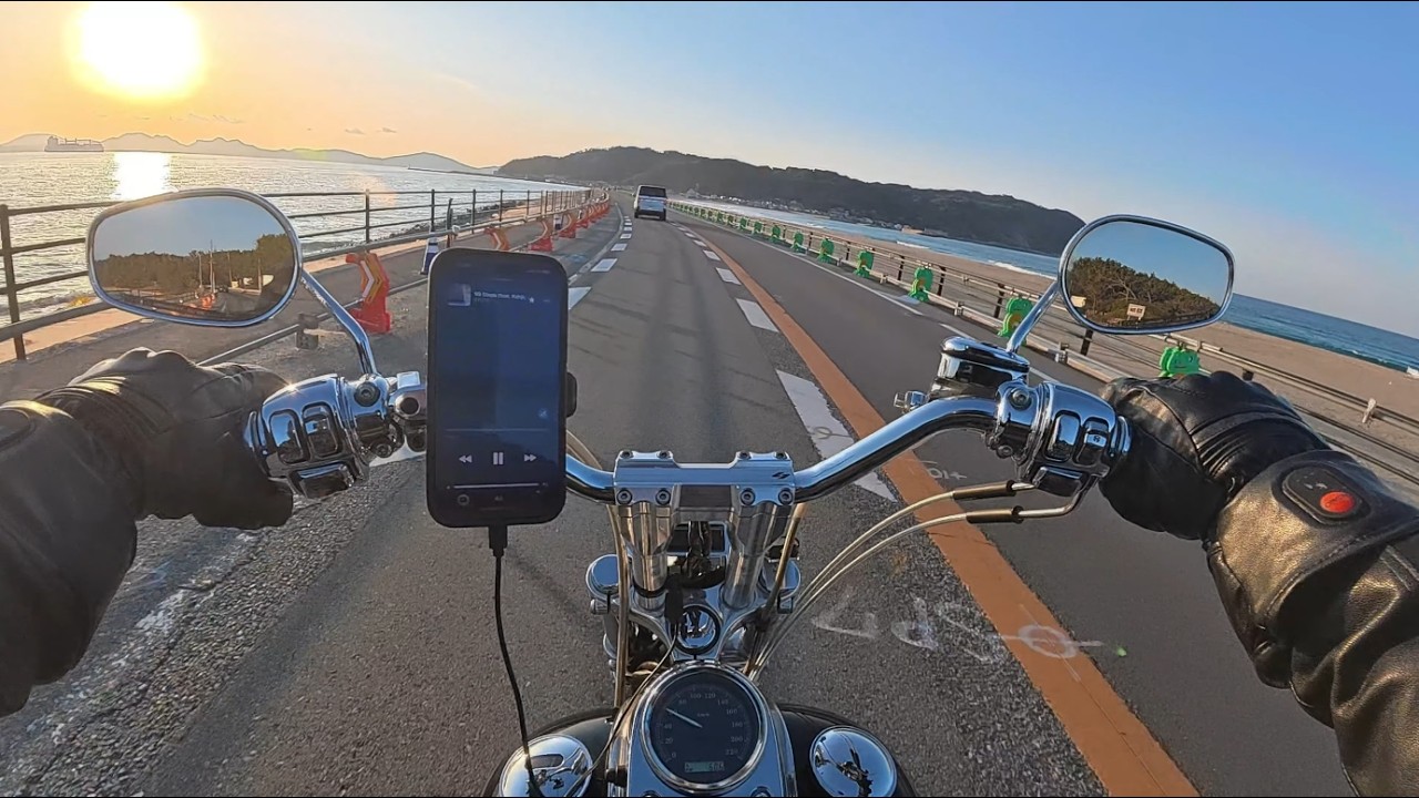 Harley FXDL Dyna Lowrider | Trask Performance Exhaust Sound | Carbureted V-Twin POV 4K