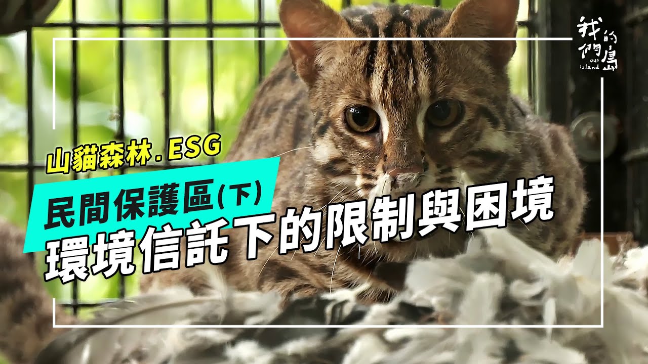 【環境信託】30X30民間保護區 可行嗎？《下》｜環境信託的限制與困境 (公視我們的島 第1223集 2023-09-25)