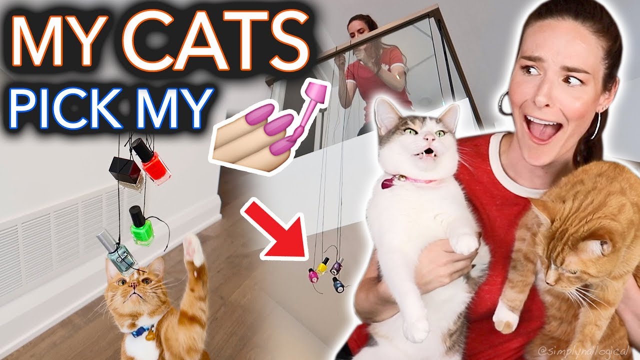My Cats Pick My Nail Polish (extreme)