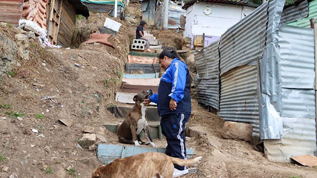 La pobreza en Colombia, en su mínimo histórico