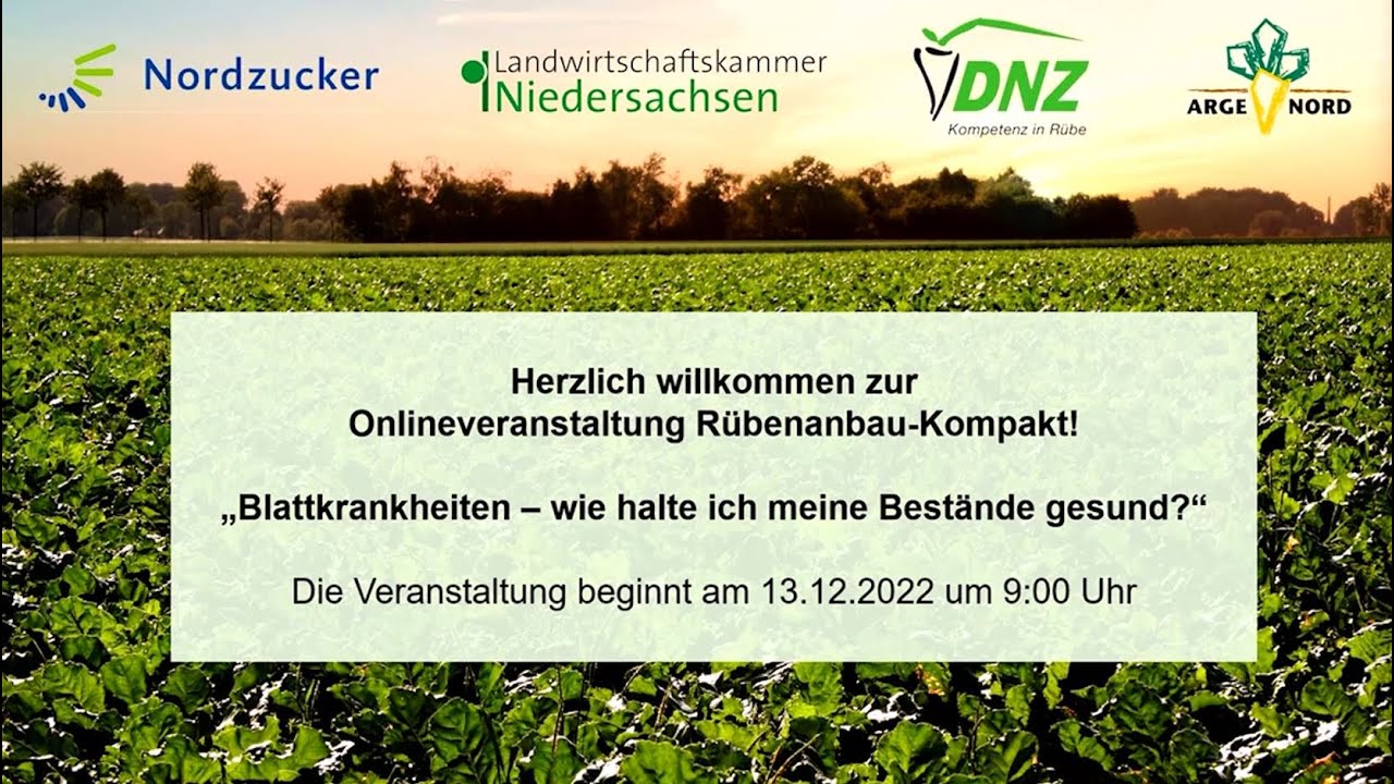 Rübenanbau Kompakt - Blattkrankheiten