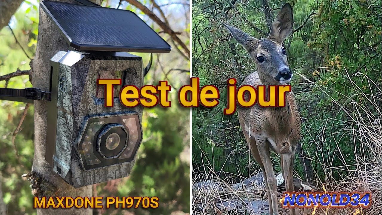 Test caméra de chasse Maxdone PH970S   Images de jour chevrette & Faons