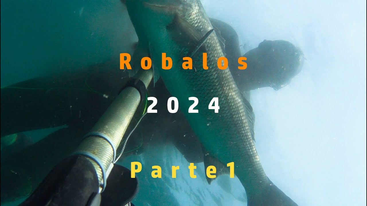 Robalos 2024 - Parte I