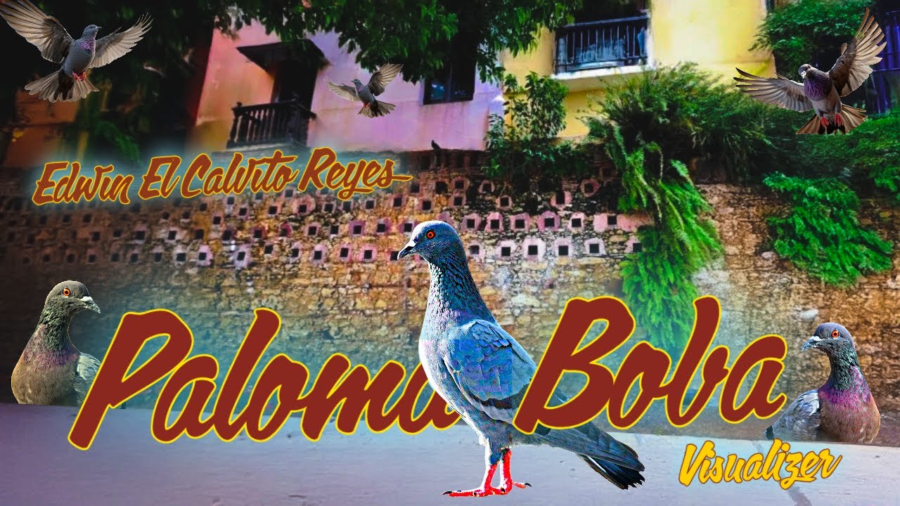 PALOMA BOBA - (Visualizer) - Edwin El Calvito Reyes