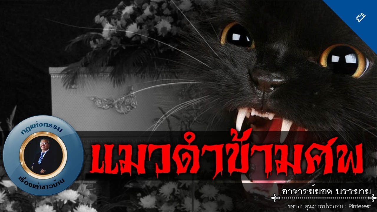 อาจารย์ยอด : แมวดำข้ามศพ [ผี]