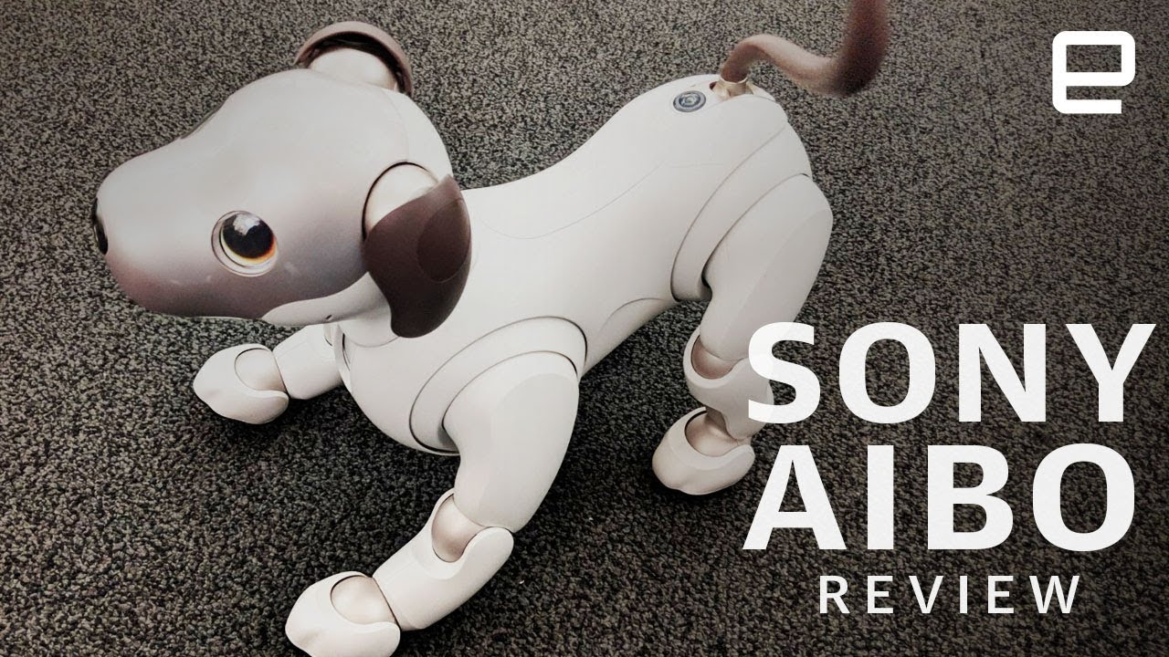 Sony Aibo Review: New dog, new tricks