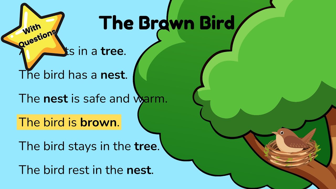Reading Practice and Comprehension | Kindergarten to 1st grade