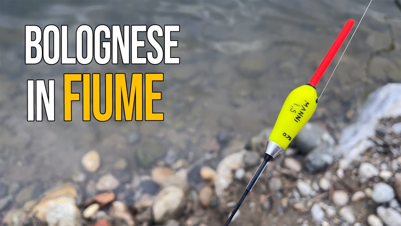 Pesca Bolognese | Una pescata RICCA di CATTURE in Acqua BASSA e CRISTALLINA 🎣
