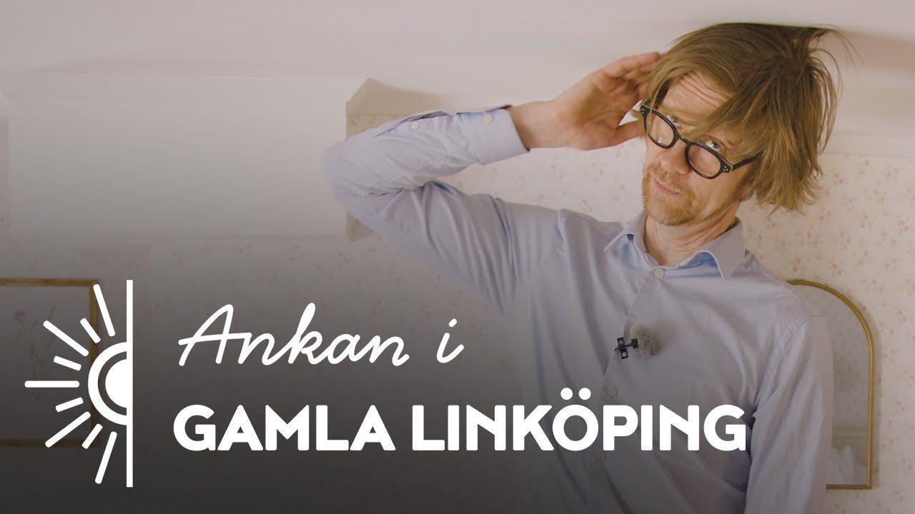 Ankan i Linköping - Gamla Linköping