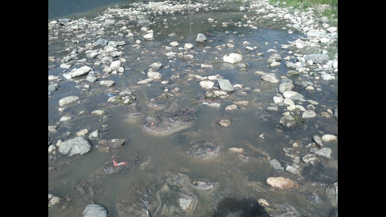 Kanalizacija u Prijepolju