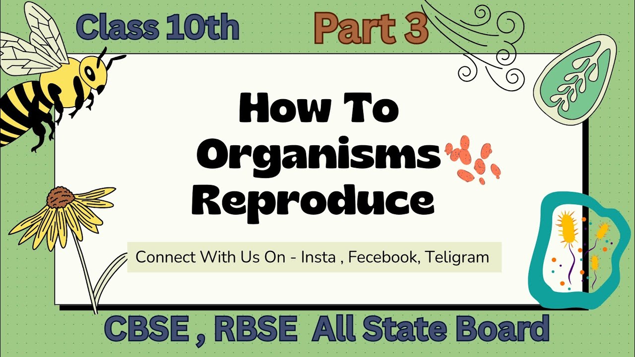 Pollination | Types of pollination | Agents of pollination | Importace of pollination . 