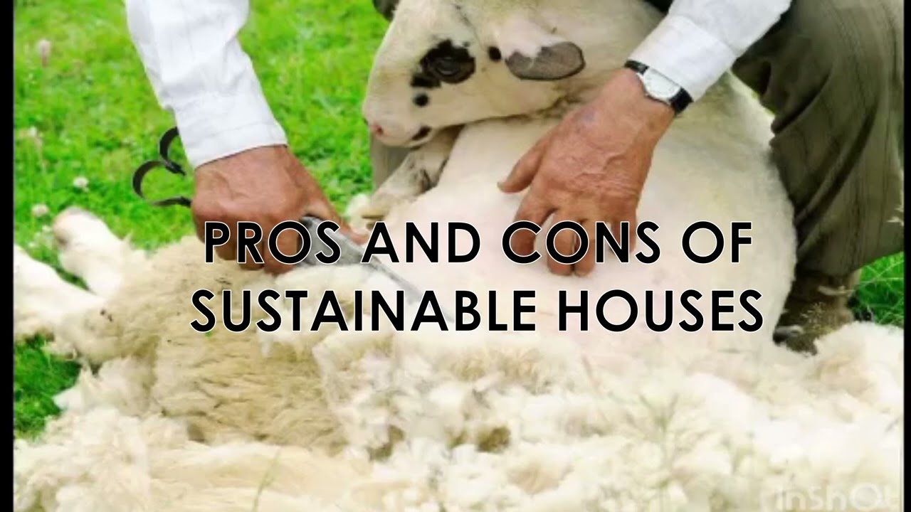 sustainable house video Slovenia