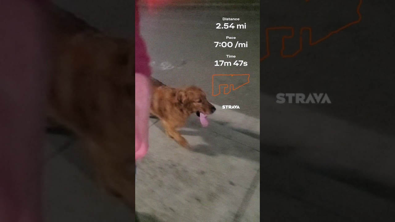 why not run one more? 