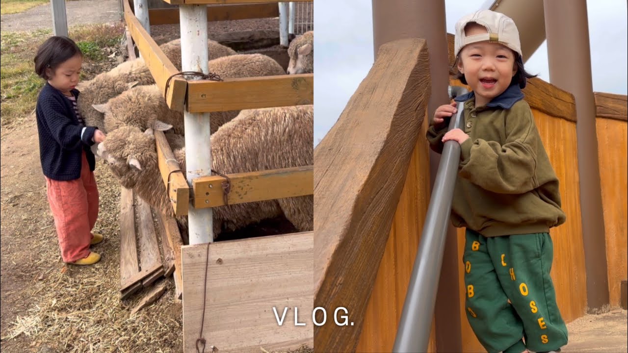 아름다운 너의 어린시절과 엄마도 엄마가 처음인 지금이 소중하고 귀해🫧🤍✨ 육아책 추천, 윙켄/꼬숑/아떼아떼 택배깡, 광주 패밀리랜드. 39개월 ep.7