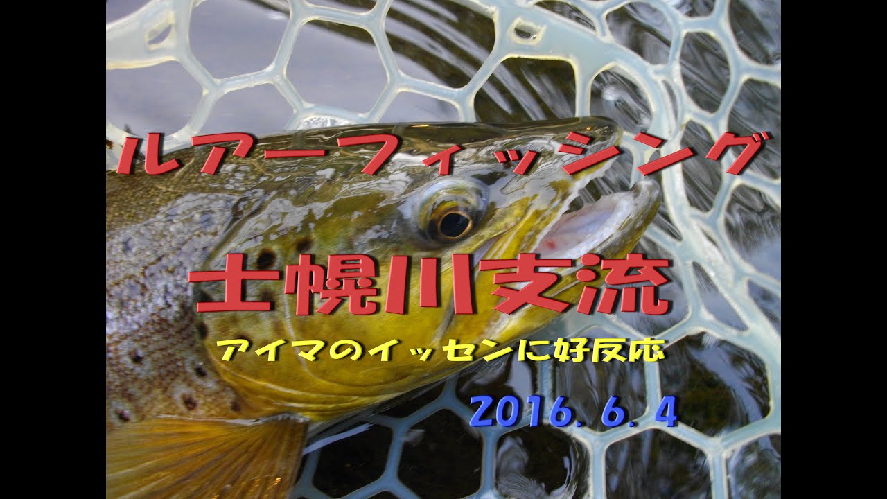 2016.6.4　「つり部会」　士幌川支流のルアーフィッシング　アイマのイッセンで好反応　ブラウントラウト