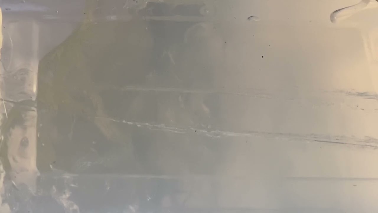 Sub 12 expansion test between JSB Hades and Mako slugs with QYS domed as control