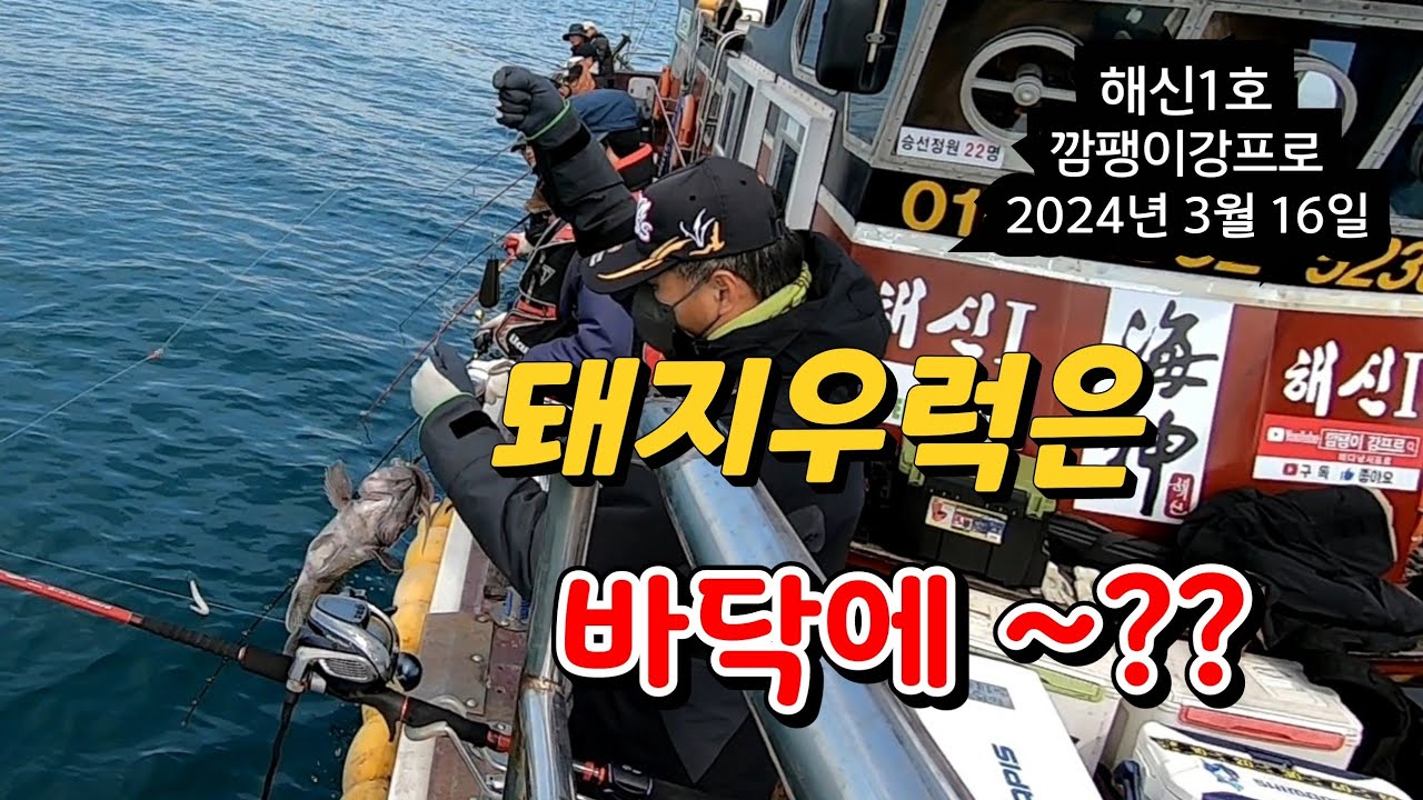 돼지 우럭들은 바닥층~??  대물은 3m 침선에 1m권 ~