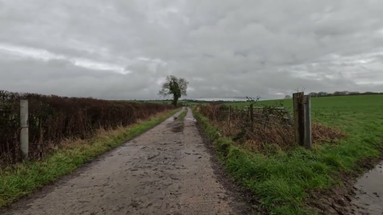 A Quiet Walk Through Country Lanes Into Open Fields