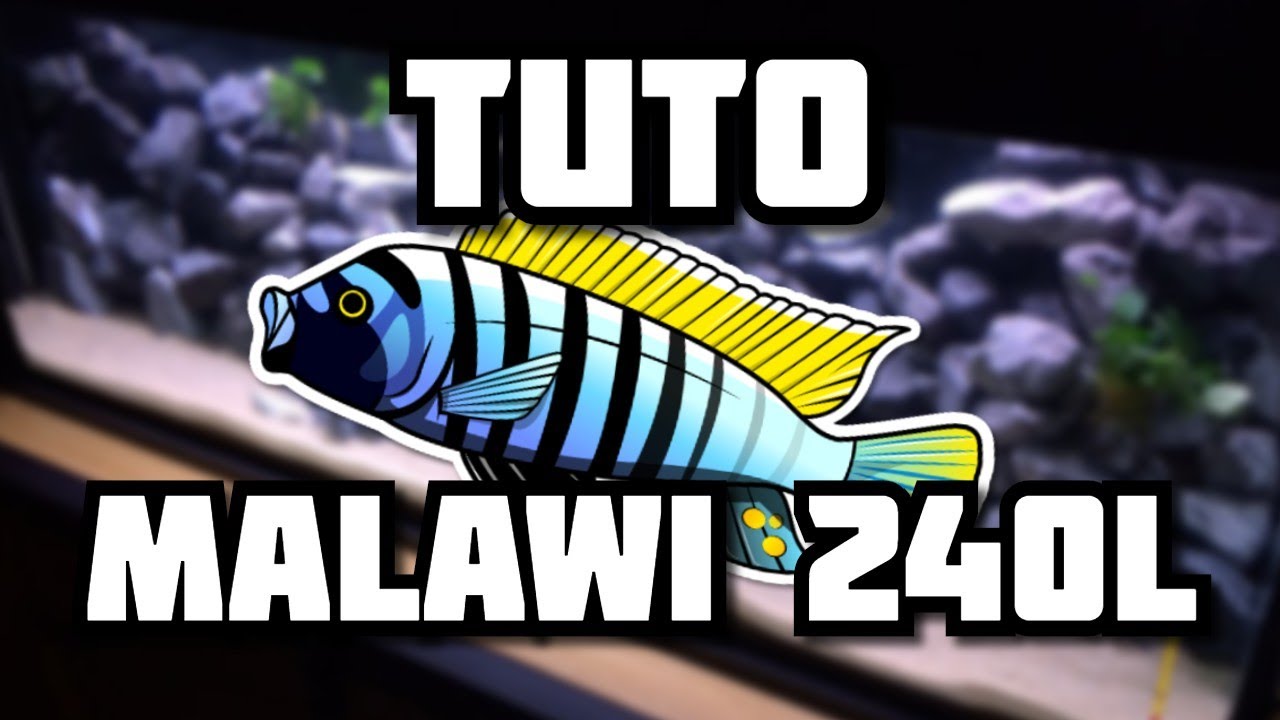 [TUTO] Premier bac Malawi!