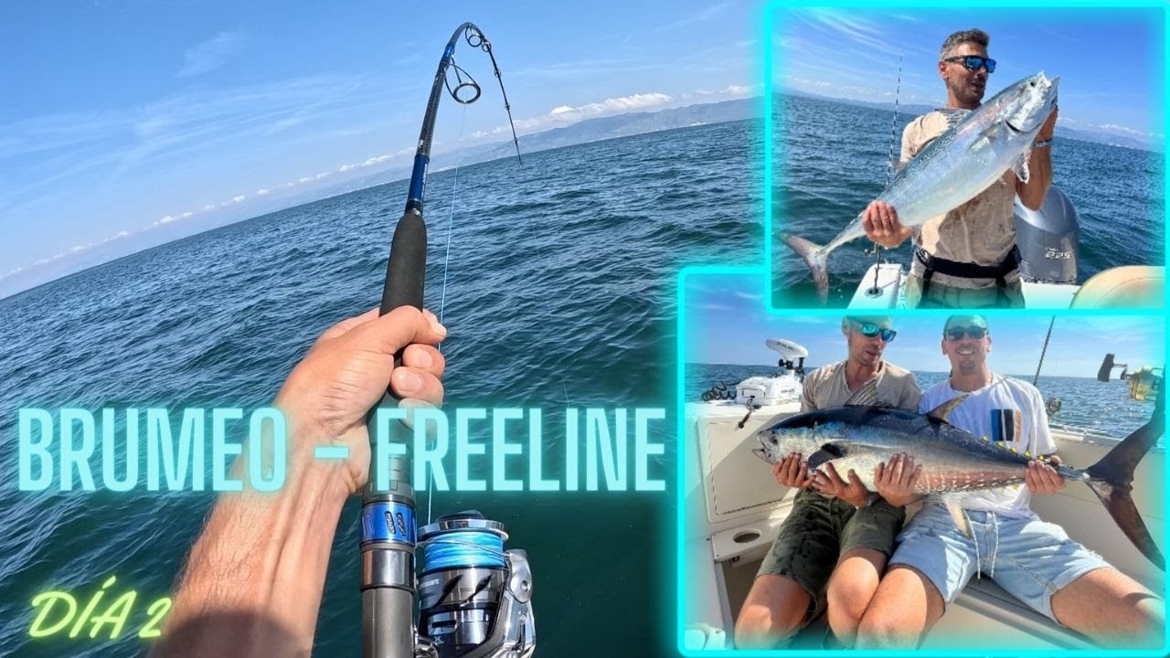 💥 ATUNES Y BACORETAS 💥 DÍA 2  PESCA por el DELTA DEL EBRO BRUMEO Y FREELINE 