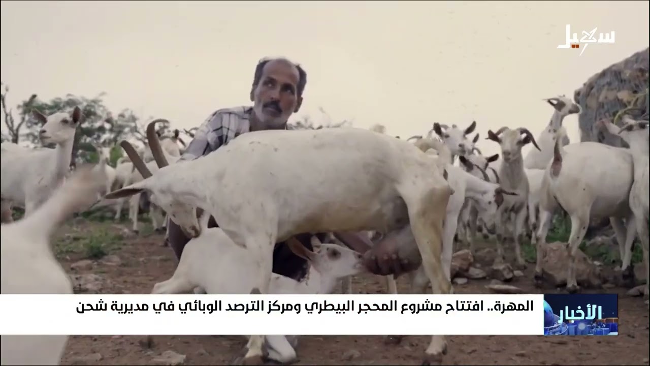 افتتاح مشروع المحجر البيطري ومركز الترصد الوبائي في مديرية شحن بالمهرة