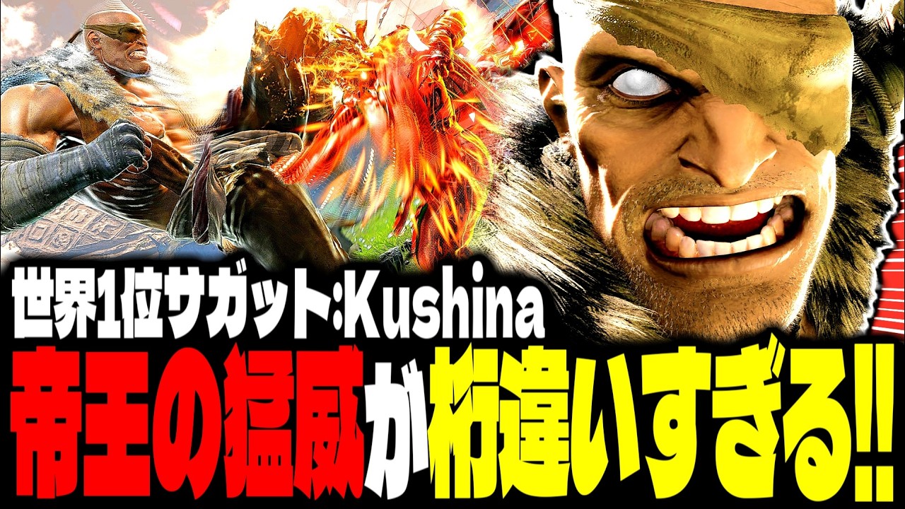 【SF6】世界1位サガット！帝王の猛威が桁違いすぎるｗｗｗ「Kushina:サガット(Sagat)」【スト6】