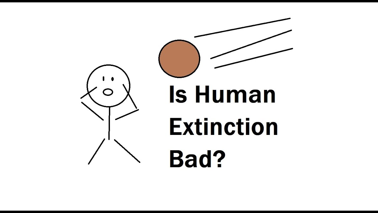 Would Human Extinction Be a Bad Thing?